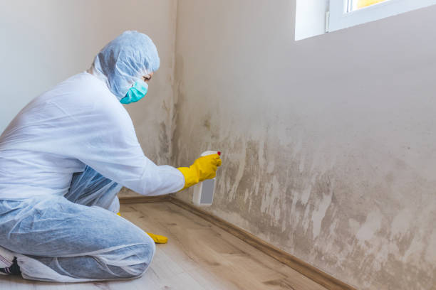Licensed Commercial Mold Remediation service in Aaronsburg, PA - WQB Mold Removal