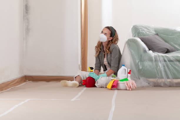 Reliable Commercial Mold Remediation contractor in Aaronsburg, PA by WQB Mold Removal